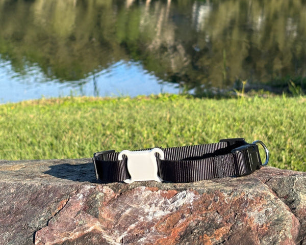 Chase and Co Smart Collar