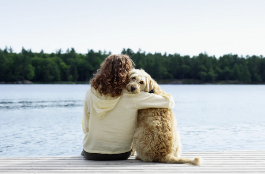 "Why Dogs Go Missing — And How to Keep Your Pet Safe"