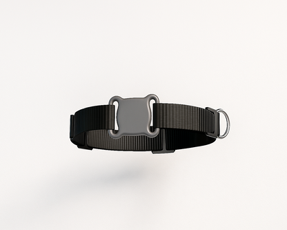 Chase and Co Smart Collar