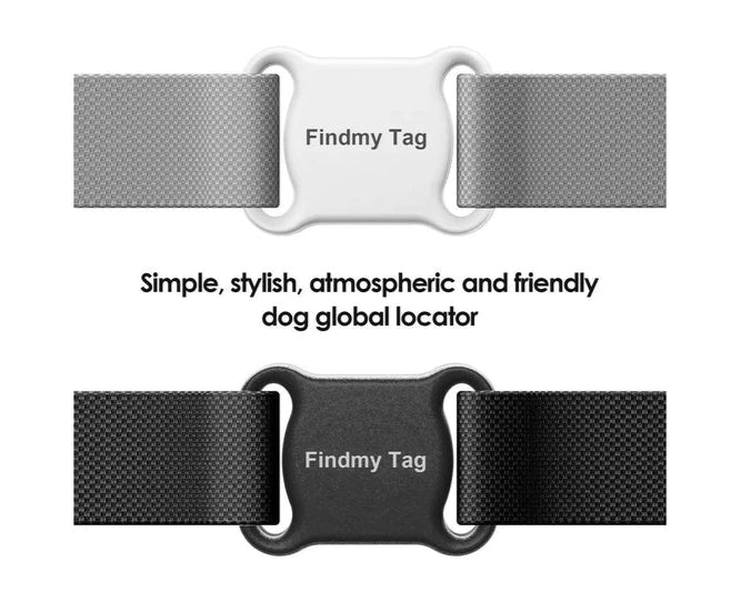 Chase and Co Smart Collar